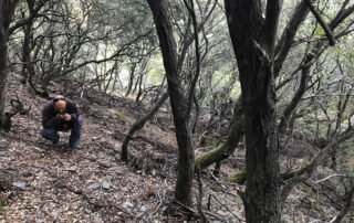 Programa de agricultura saludable