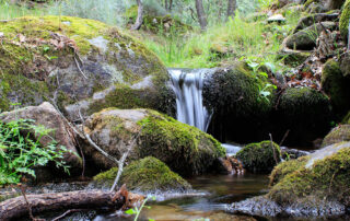 Proyecto las siete fuentes