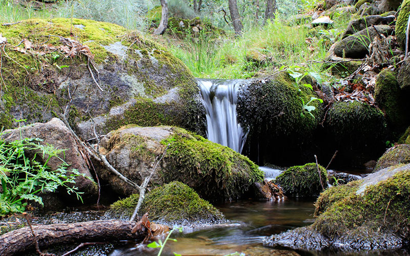 Proyecto las siete fuentes